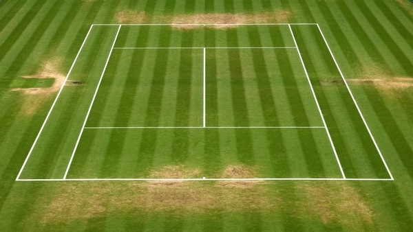 Why Do Grass Court Niche Predictors Work Better Than Mainstream Models?