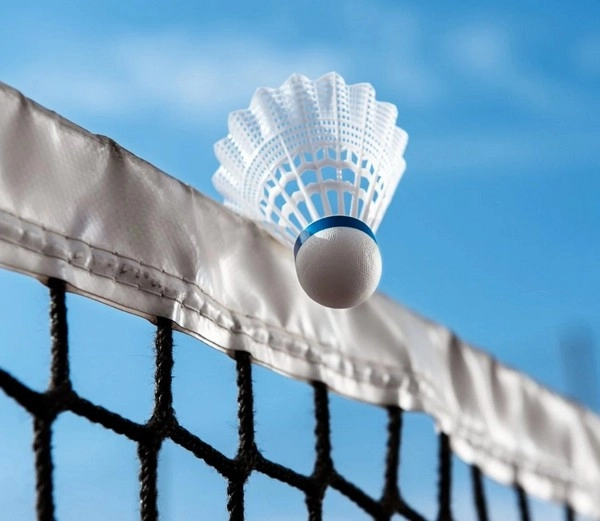 Why Is Net Play Dominance Bets Trending Among Niche Badminton Bettors?