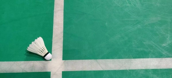 Can You Predict Upsets Using Shuttle Speed Handicap Dynamics in Badminton?