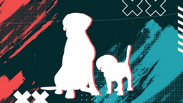 Can You Profit From Underdog Momentum Shift Betting Before the Odds React?