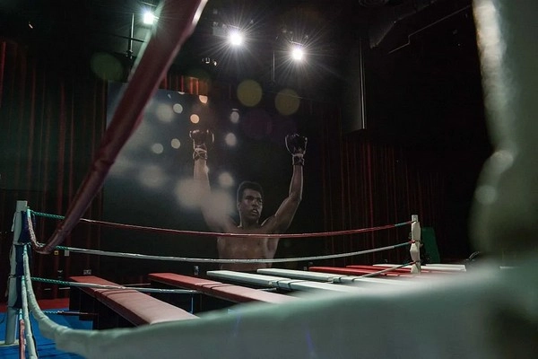 Are boxing in-play momentum bets effective?
