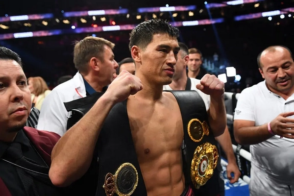 Are boxing underdog value picks profitable?