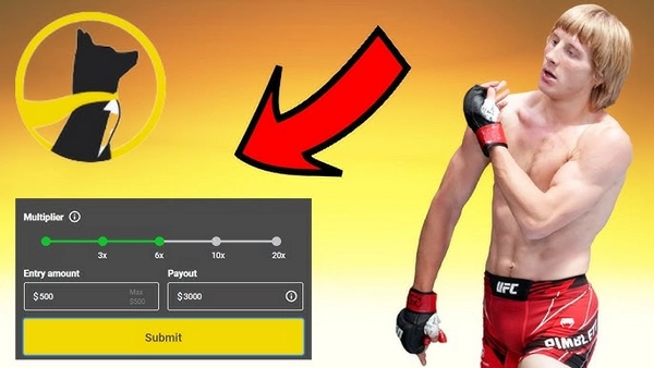 Are boxing underdog value picks profitable?

