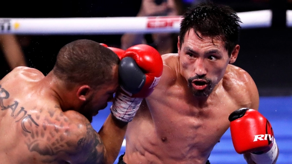 Are boxing underdog value picks profitable?
