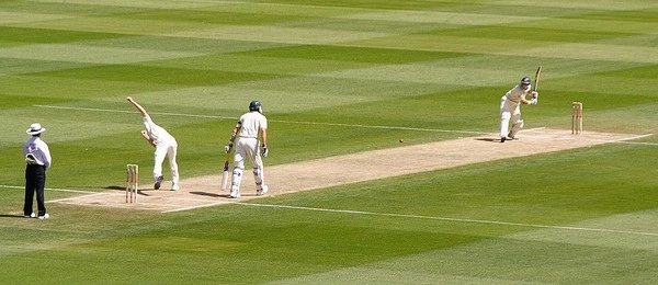 How to use cricket team run line?