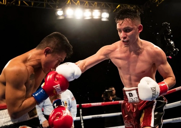 Where to find live boxing betting odds?