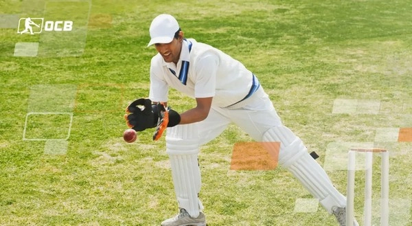 Is man of match prediction too risky?