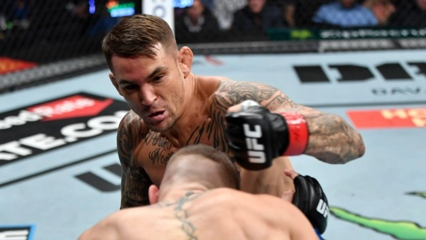 How do bettors approach a Knockdown Count Bet in boxing?
