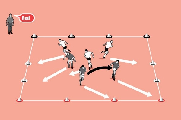 Are Tackle Count Odds a hidden angle for sharp bettors?