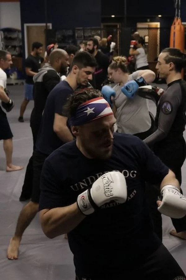 What are the signs that indicate the true value of most and least in MMA matches?