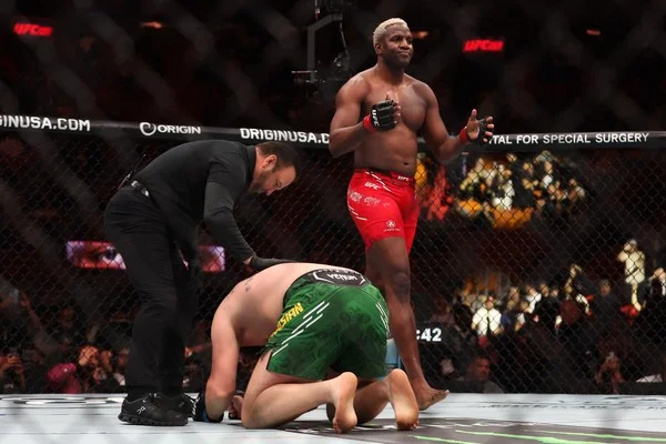 How to participate in the MMA futures champion division market in different seasons?