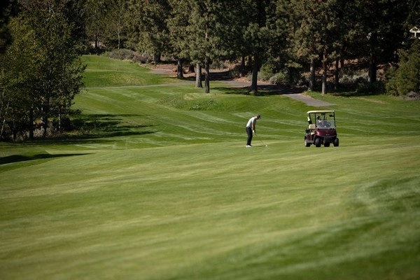 Should bettors trust golf slope reading analysis?