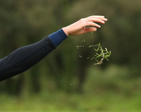 Why is golf wind prediction crucial for betting strategies?