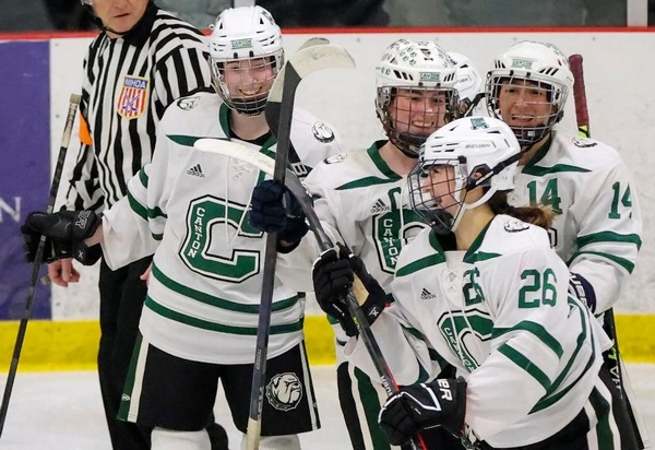 Do icehockey line rotations influence live bets?