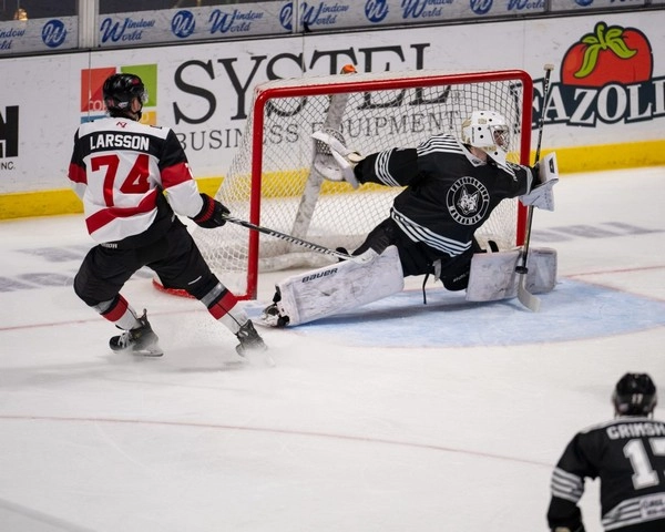 Is icehockey goalie stress measurable for betting?