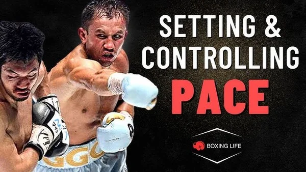 Should bettors choose fighters with strong speed control skills in boxing?